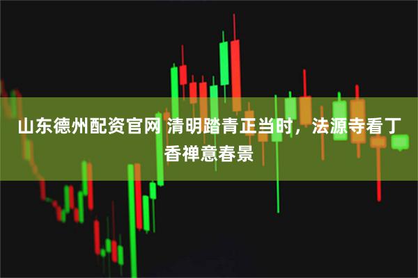 山东德州配资官网 清明踏青正当时，法源寺看丁香禅意春景