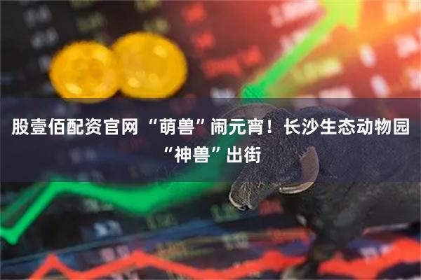 股壹佰配资官网 “萌兽”闹元宵！长沙生态动物园“神兽”出街